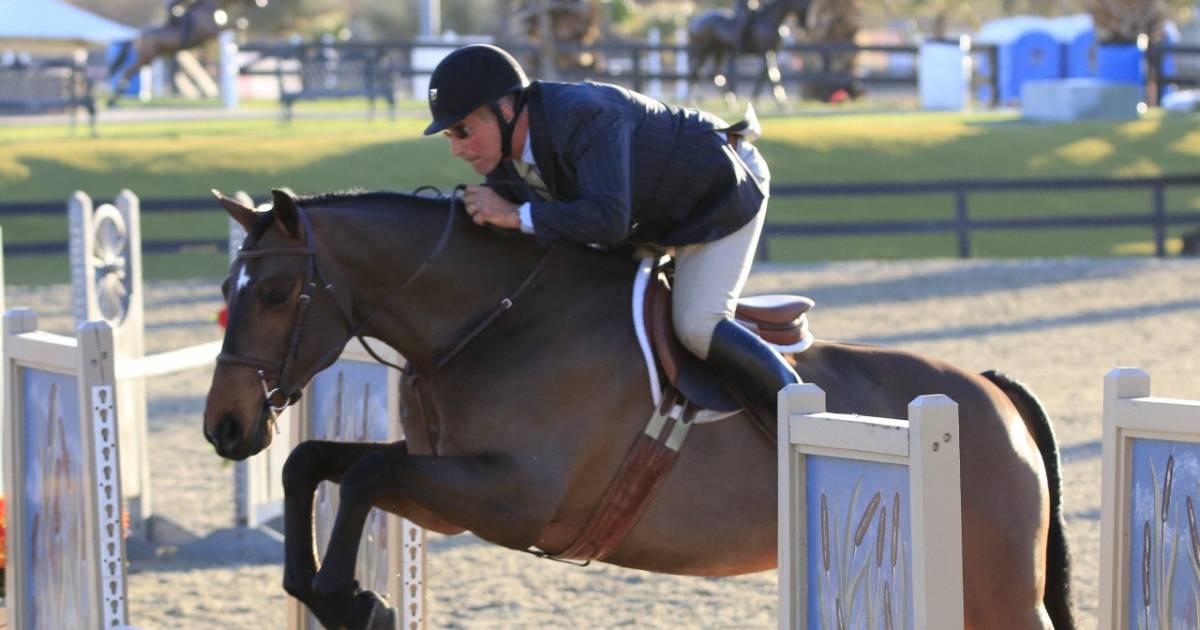 The Best Equestrian Specialists in the UK