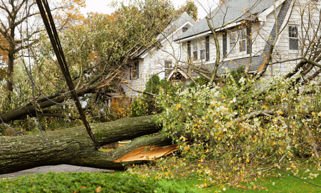 Building-Back-Better Storm-Damage