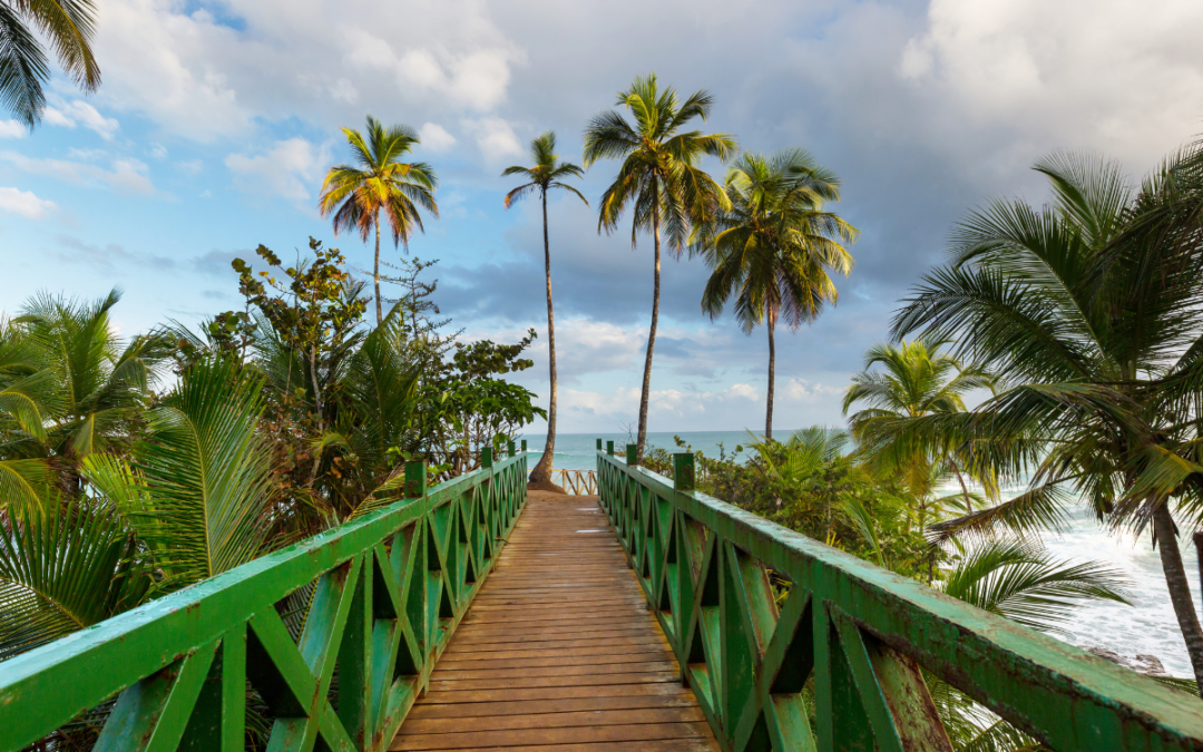 ¿Cuáles Son los Beneficios de Reservar Paquetes a Japón Desde Costa Rica con Anticipación?