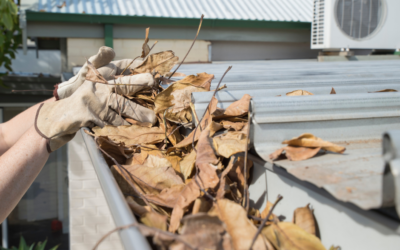Everything You Need to Know About Easy Gutter Guard Systems for Long-Lasting Gutter Protection