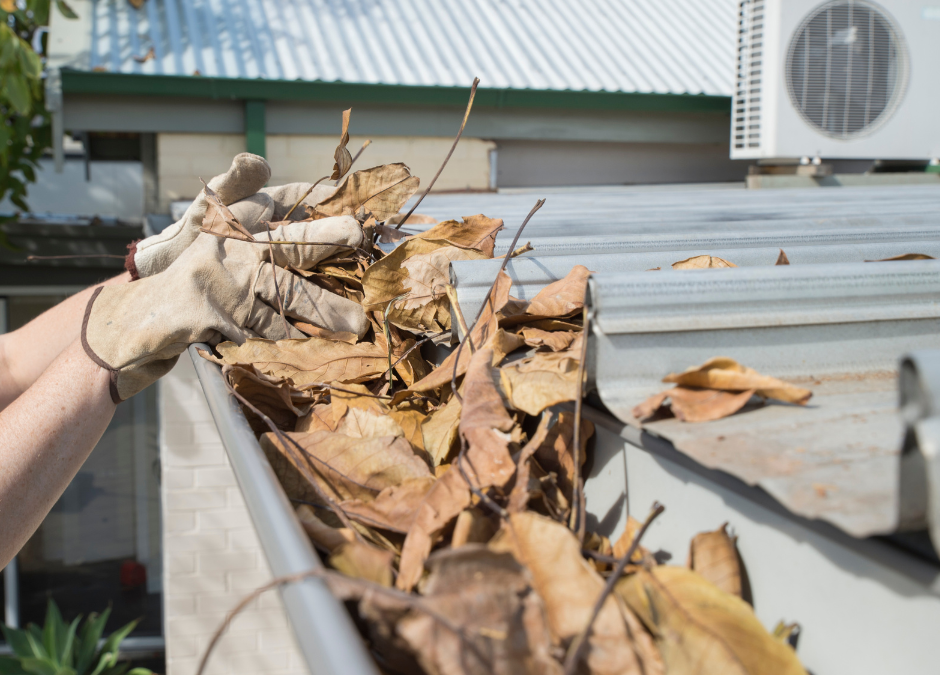 Everything You Need to Know About Easy Gutter Guard Systems for Long-Lasting Gutter Protection