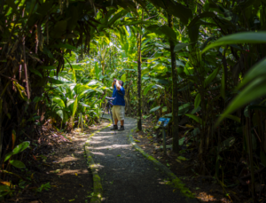 Top Things to Look for When Booking a Wildlife Tour in Costa Rica
