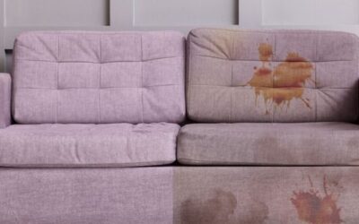 How Often Should You Have Your Upholstered Furniture Professionally Cleaned?